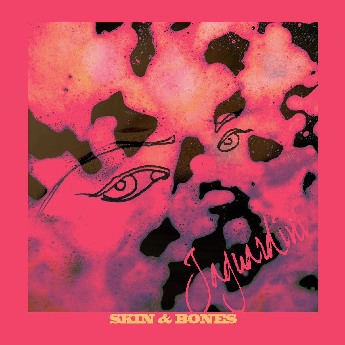 Cover artwork for Skin & Bones