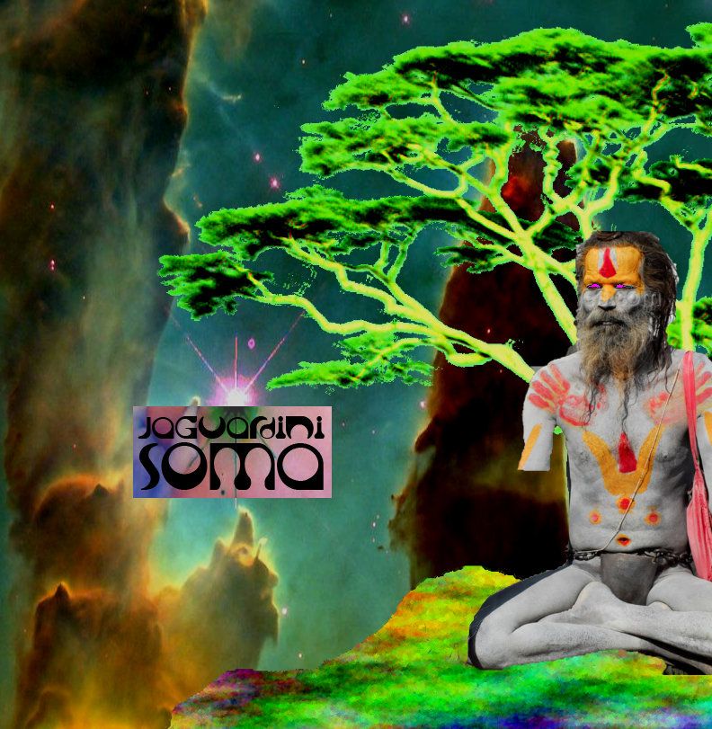 Cover artwork for Soma